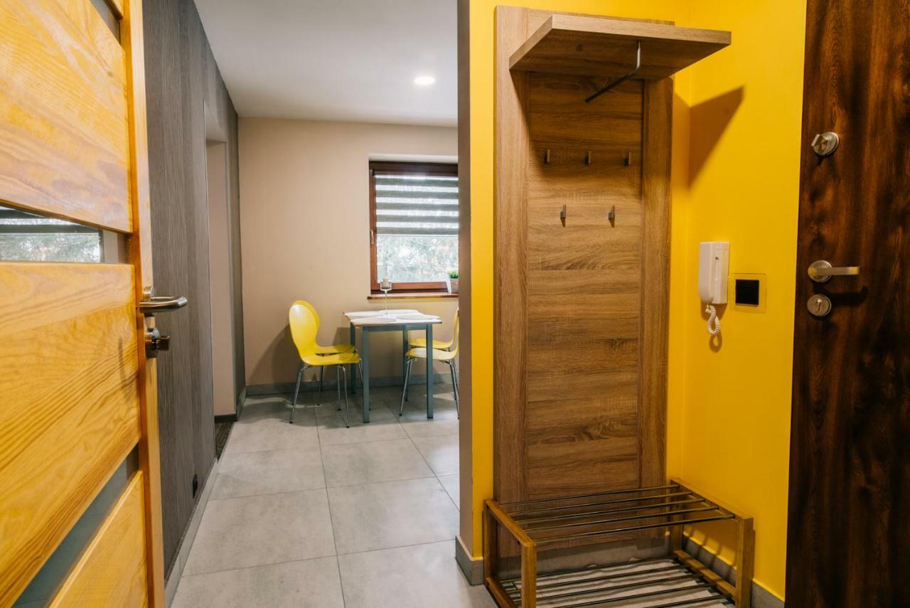Apartamenty Pod Niedzwiedziem I ザコパネ エクステリア 写真