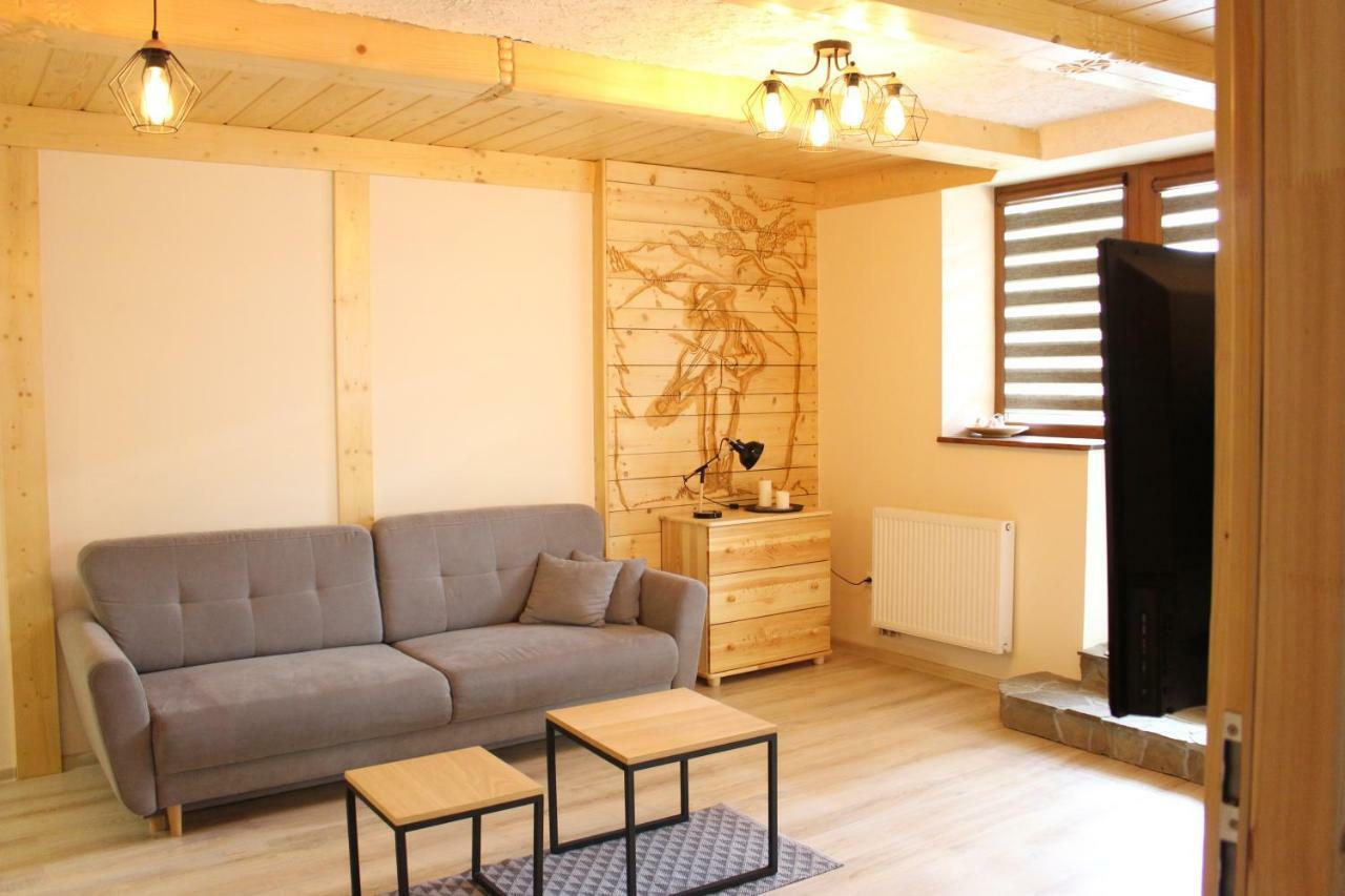 Apartamenty Pod Niedzwiedziem I ザコパネ エクステリア 写真
