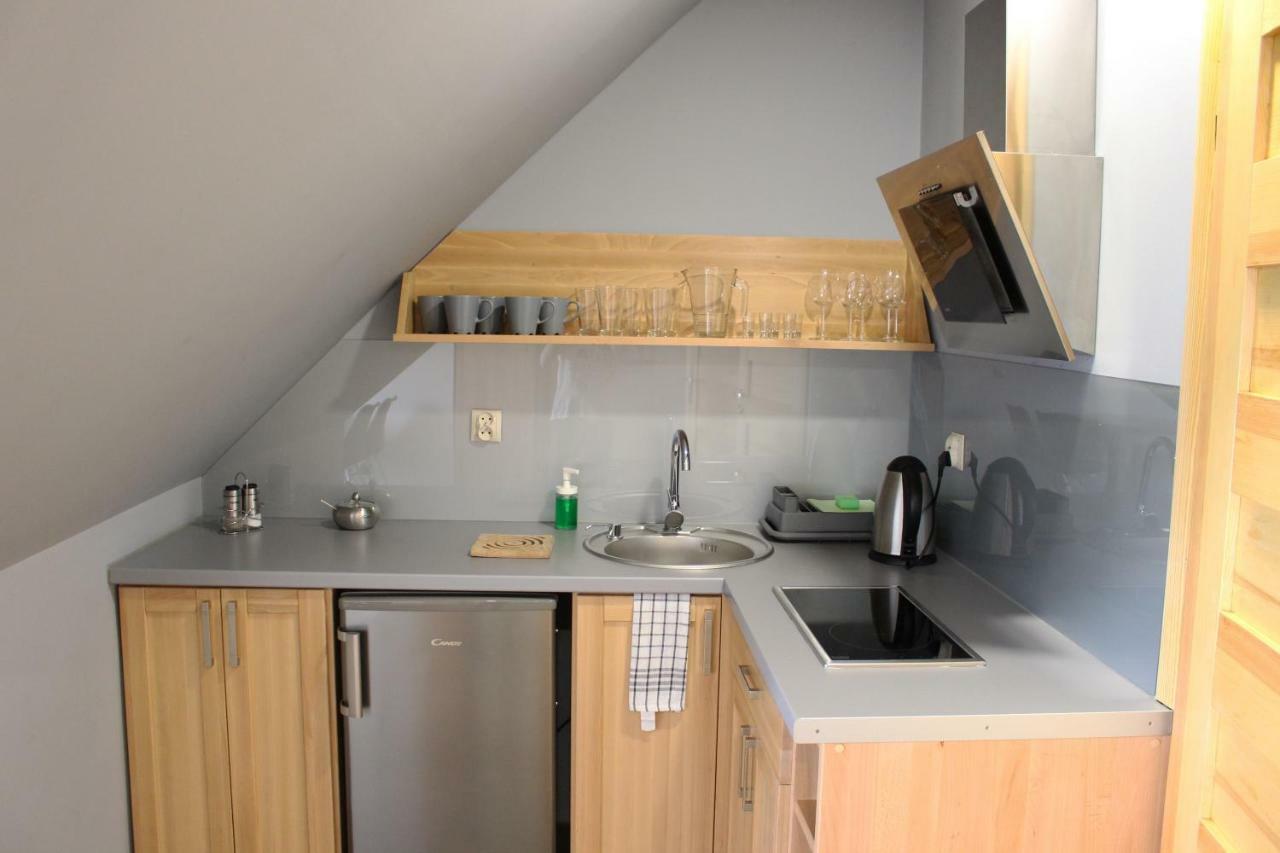 Apartamenty Pod Niedzwiedziem I ザコパネ エクステリア 写真