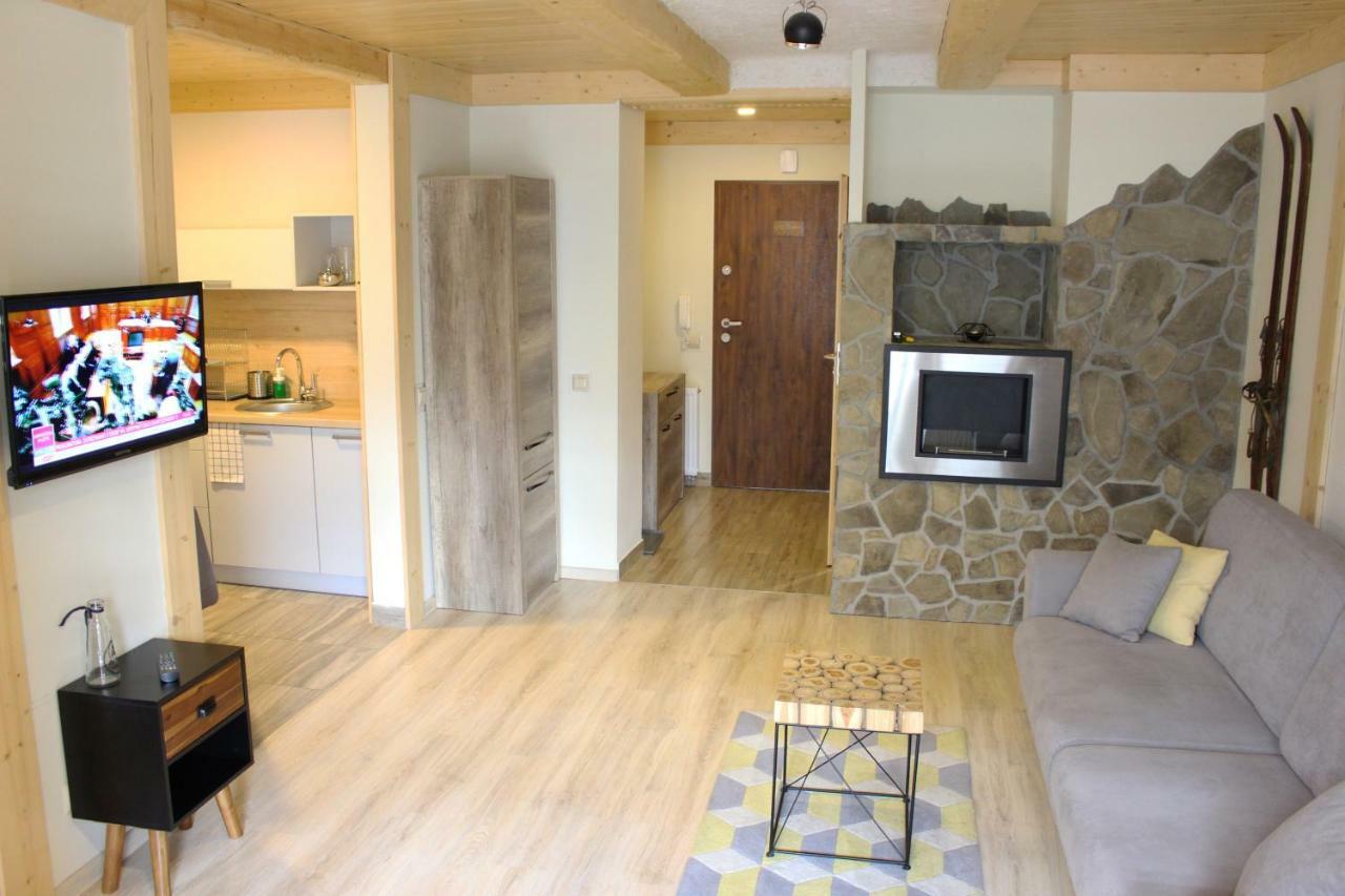 Apartamenty Pod Niedzwiedziem I ザコパネ エクステリア 写真