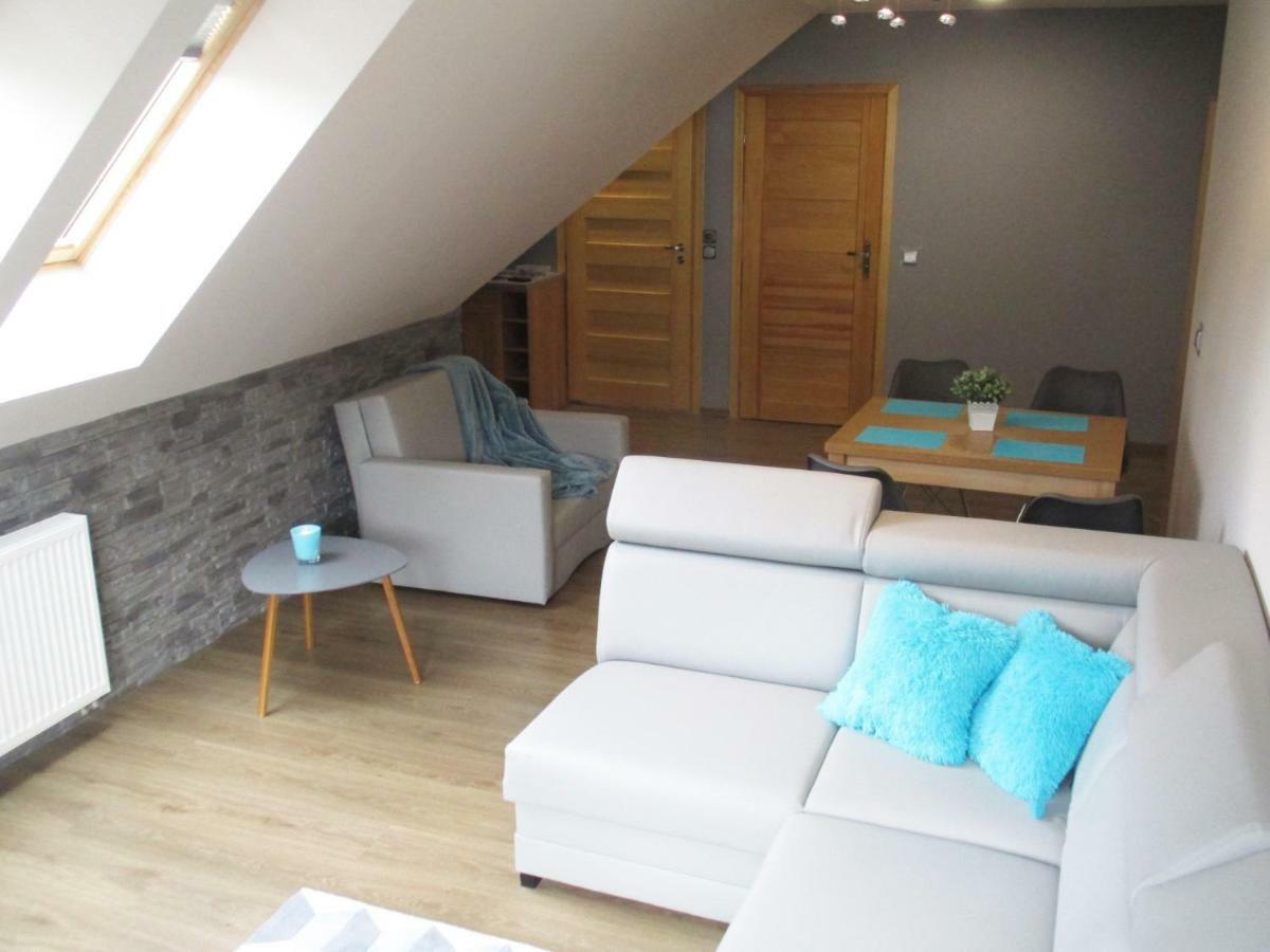 Apartamenty Pod Niedzwiedziem I ザコパネ エクステリア 写真