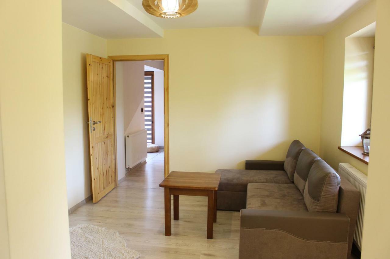 Apartamenty Pod Niedzwiedziem I ザコパネ エクステリア 写真